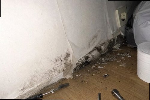 광진구 누수탐지 안방 천장에 번진 얼룩과 주변 마감 상태를 확인하는 현장