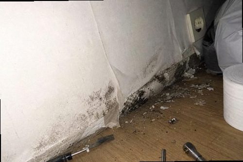 누수탐지 천장 물자국과 벽면 습기를 확인하는 현장