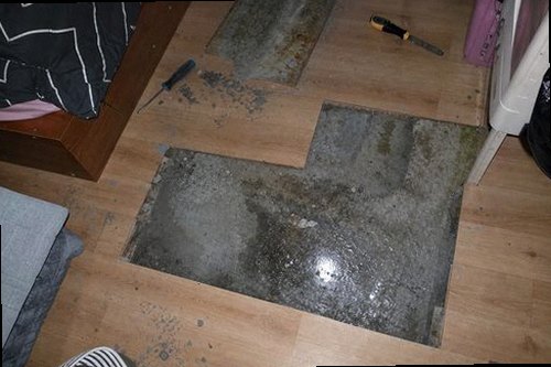 동작구 누수탐지 천장과 벽면에 나타난 누수 흔적을 비교하는 현장 점검 모습