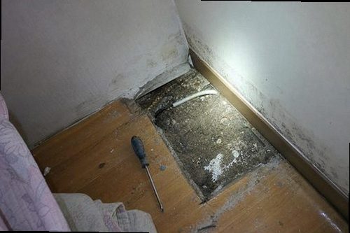 서초구 누수탐지 천장 물자국과 벽지 들뜸을 확인하는 현장 점검 모습