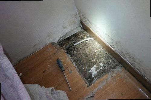 양주 누수탐지 천장 얼룩과 벽면 습기 상태를 확인하는 현장