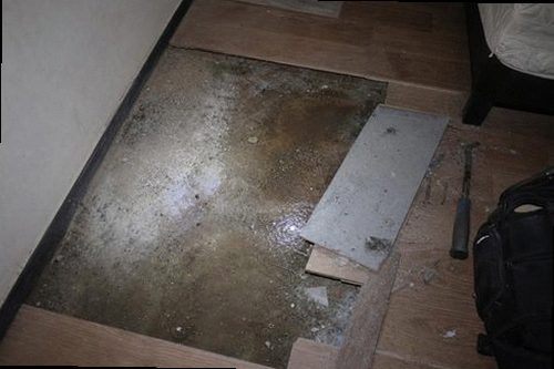 연천 누수탐지 천장 얼룩과 벽면 변색 등 누수 피해 흔적 확인