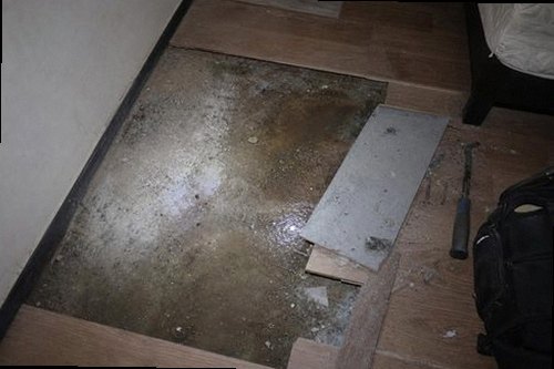 파주 누수탐지 수도계량기 별침과 누수 피해 부위를 확인하는 현장 점검