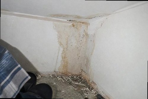 파주 누수탐지 천장 누수 피해 위치와 수분 상태를 확인하는 현장