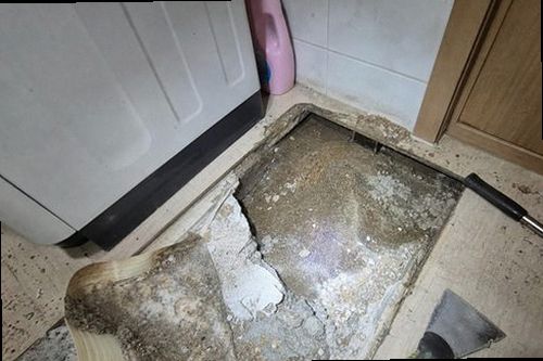 누수탐지 수도계량기 별침과 잠금 밸브를 확인하는 모습