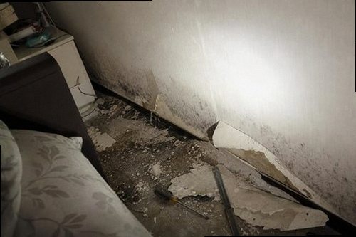 누수탐지 천장 물자국과 배관 주변을 비교 확인하는 모습