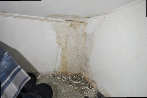 소사구 누수탐지 천장 누수 흔적과 배관 위치를 비교하는 현장 점검