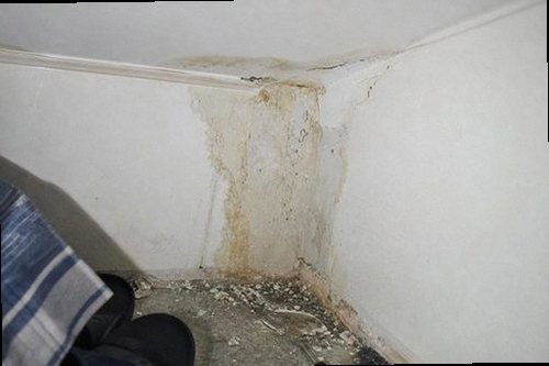 원미구 누수탐지 천장 물자국과 복도 바닥의 습윤 흔적을 확인하는 현장