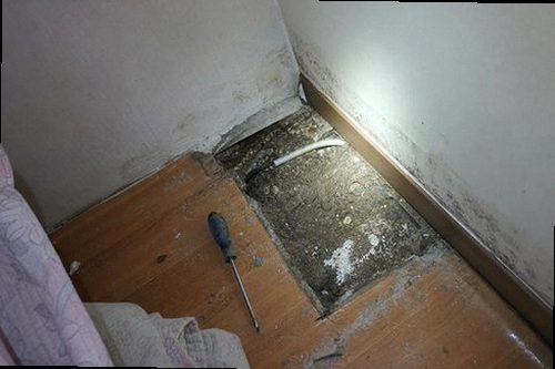 중원구 누수탐지 천장과 벽면의 누수 흔적을 확인하는 현장 점검