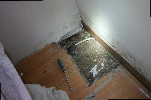 권선구 누수탐지 천장 얼룩과 곰팡이 발생 범위를 확인하는 현장 점검