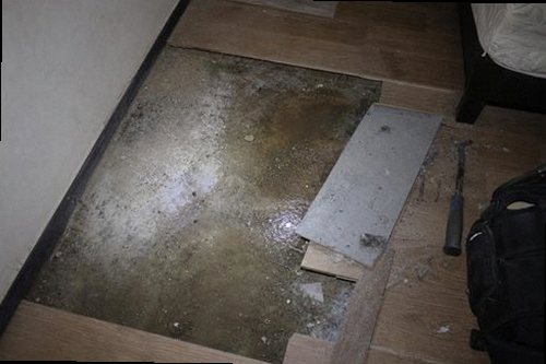 누수탐지 천장 얼룩과 벽면 수분 흔적을 비교하는 점검 모습