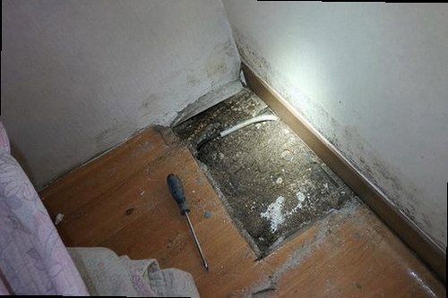 팔달구 누수탐지 천장 누수 흔적과 벽면 수분 상태를 확인하는 현장