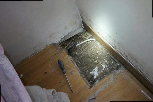 누수탐지 천장 얼룩과 벽지 들뜸을 확인하는 누수 점검 현장