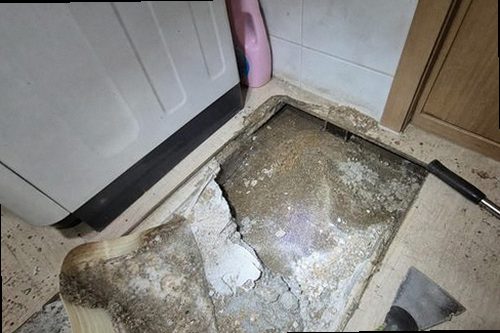 누수탐지 싱크대 하부장과 급수 및 배수 연결부 점검 모습