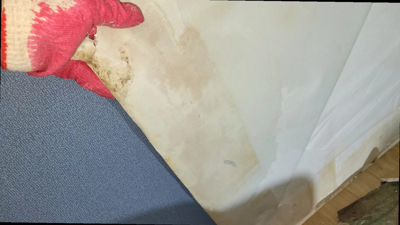 기장군 김*아 후기 사진
