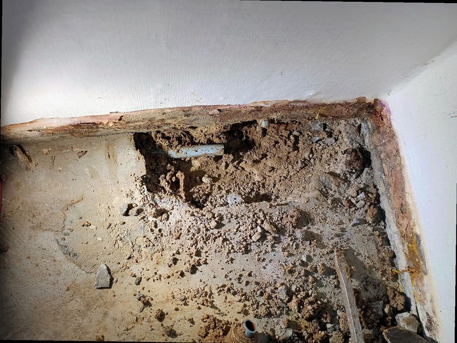 부산 중구 윤*희 후기 사진