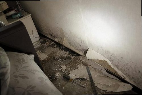 누수탐지 벽지 얼룩과 천장 습기 상태를 확인하는 현장 점검