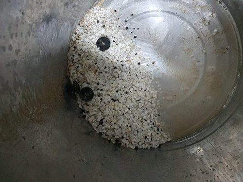 성동구 송정동 하수구막힘 — 주방 배수 정체