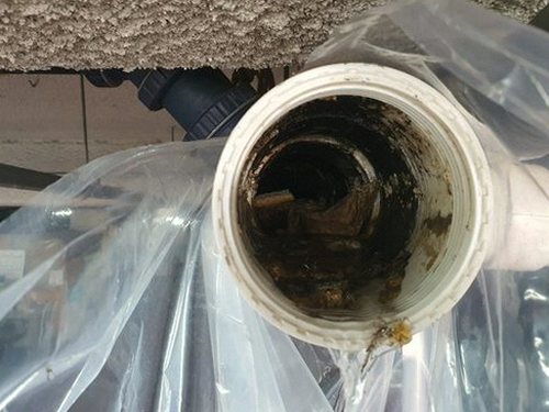 동작구 사당동 하수구막힘 — 주방 배수구 물 고임