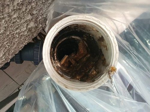 장안구 조원동 하수구막힘 — 욕실 배수구 물 고임