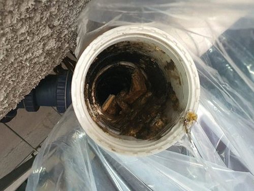 권선구 탑동 하수구막힘 — 세탁실 물 고임