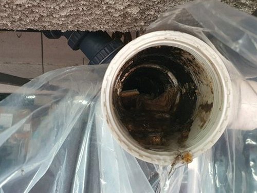 광명 옥길동 하수구막힘 — 주방 배수구 역류