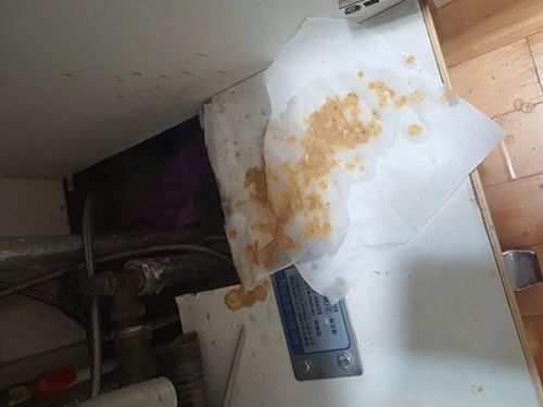 덕양구 원흥동 하수구막힘 — 싱크대 물 고임