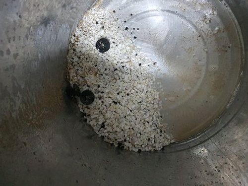 오산 양산동 하수구막힘 — 주방 배수 정체