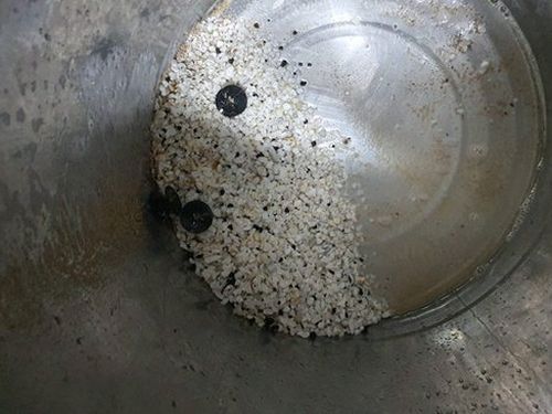 기흥구 구성동 하수구막힘 — 주방 배수 지연