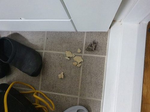 파주 맥금동 하수구막힘 — 주방 배수구 정체