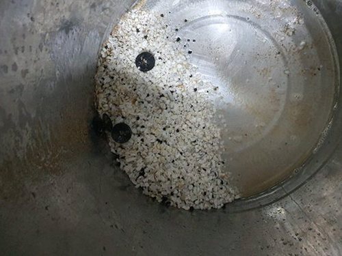 양평 양서면 하수구막힘 — 배수 후 물 고임