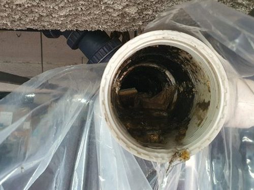 남동구 장수서창동 하수구막힘 — 세탁 공간 역류