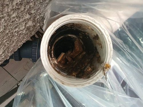 검단구 마전동 하수구막힘 — 욕실 배수 지연