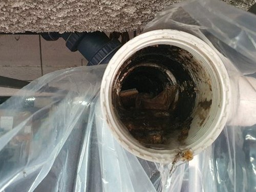 옹진군 연평면 하수구막힘 — 세탁실 배수 흐름 저하
