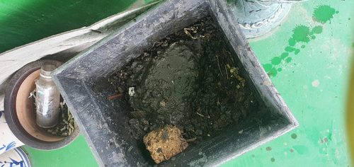 하수구막힘 단원구 대부남동 하수구막힘 싱크대 막힘 수리 고압 세척과 스네이크