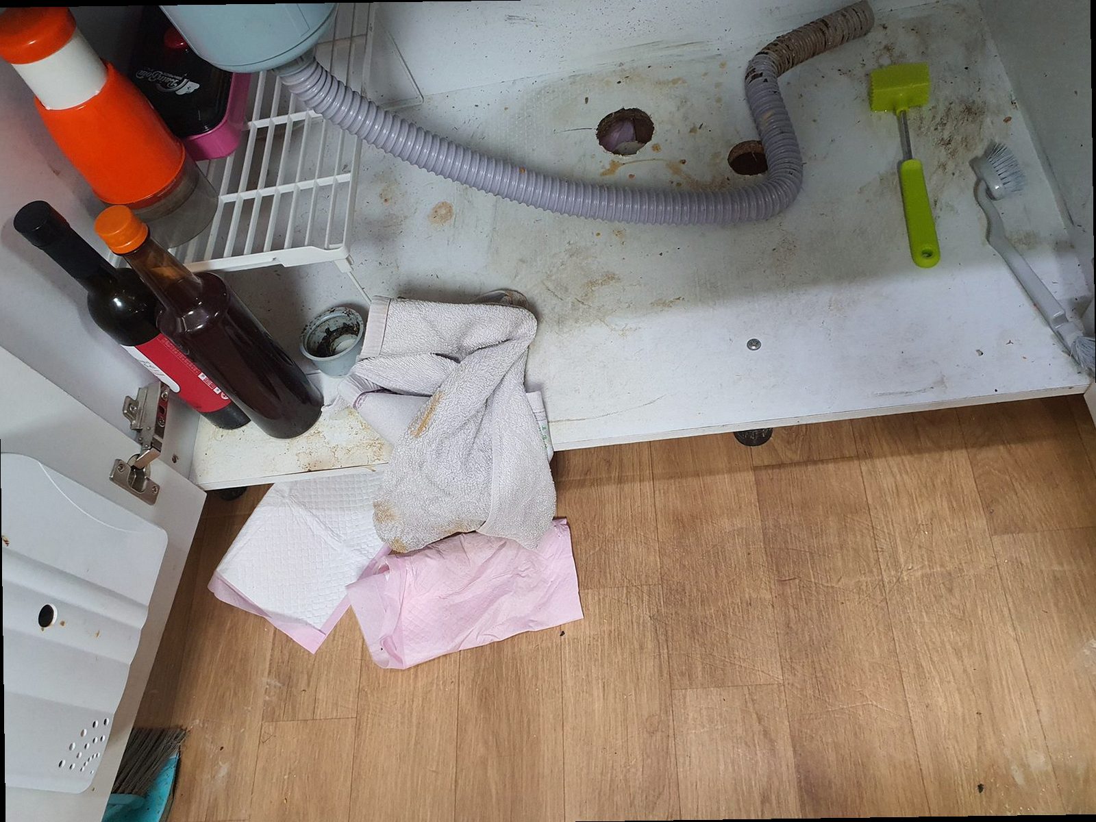 하수구막힘 중랑구 상봉동 하수구막힘 정화조 펌핑 3단계로 정리한 현장 사례