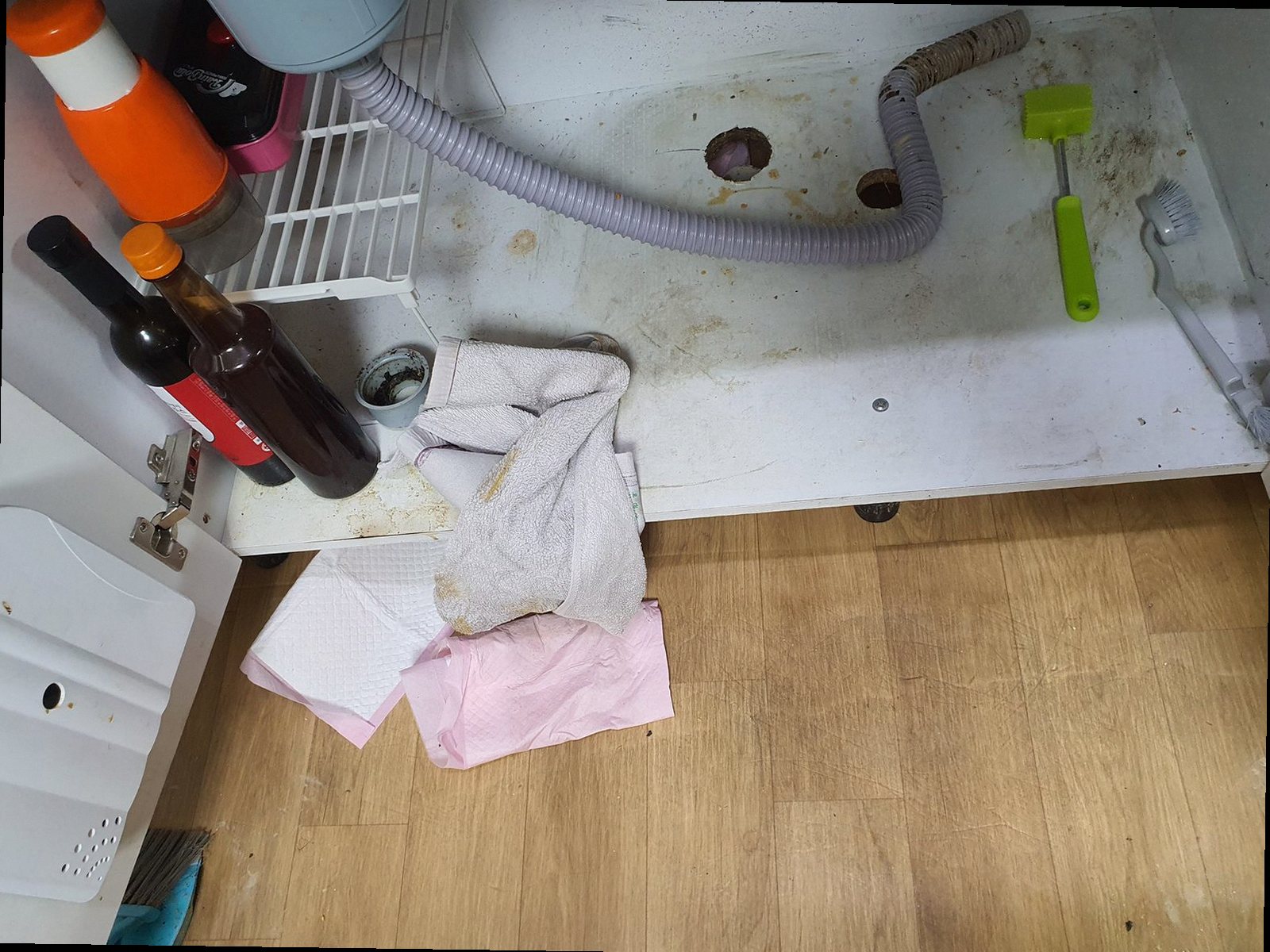 영등포구 하수구막힘 배관 내부 상태를 확인하는 점검 장면