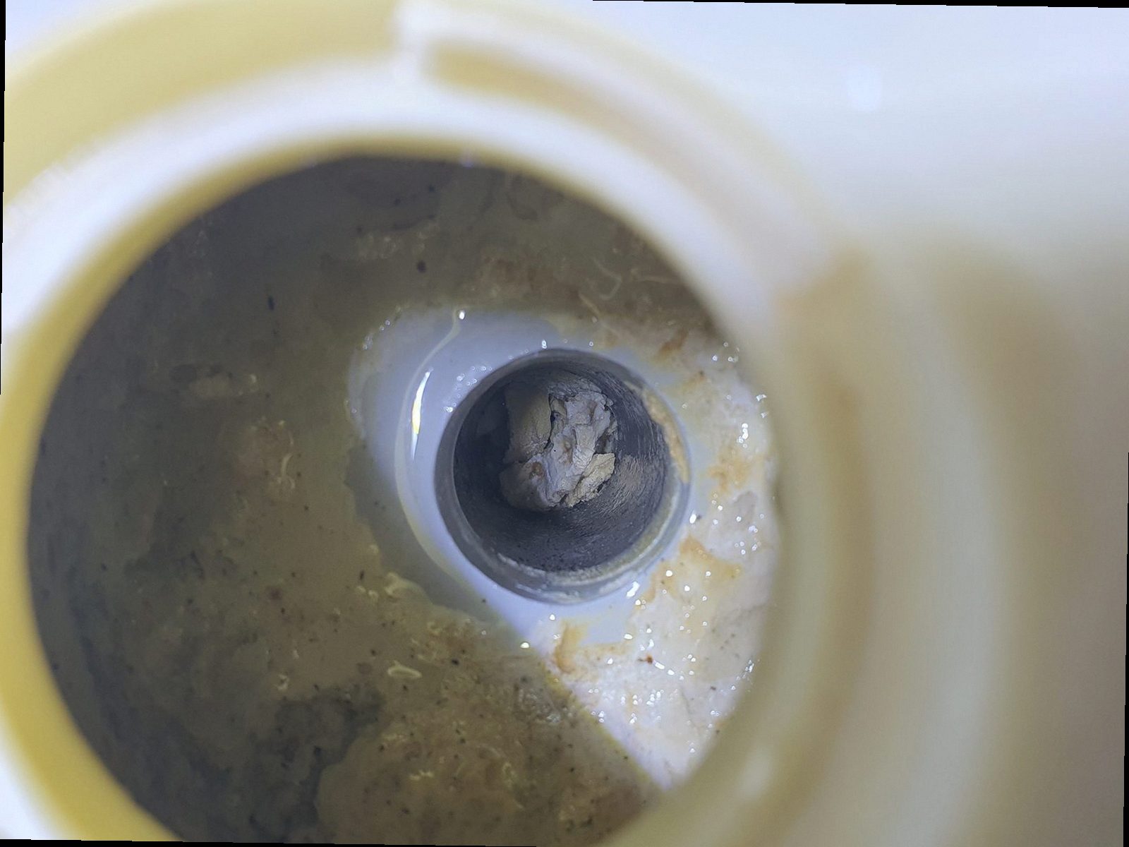 서울 중구 하수구막힘 배수 상태를 확인하는 현장 점검 장면