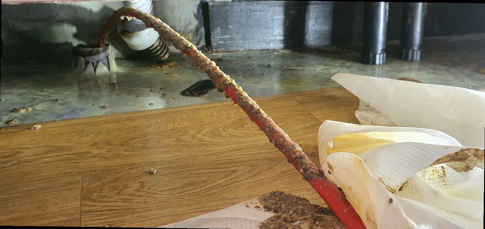 하수구막힘 광주시 중대동 하수구막힘 변기 배관 막힘 점검이 필요한 3가지 신호