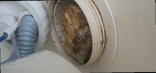 하수구막힘 배수 상태와 냄새, 물 고임을 함께 점검하는 현장 모습