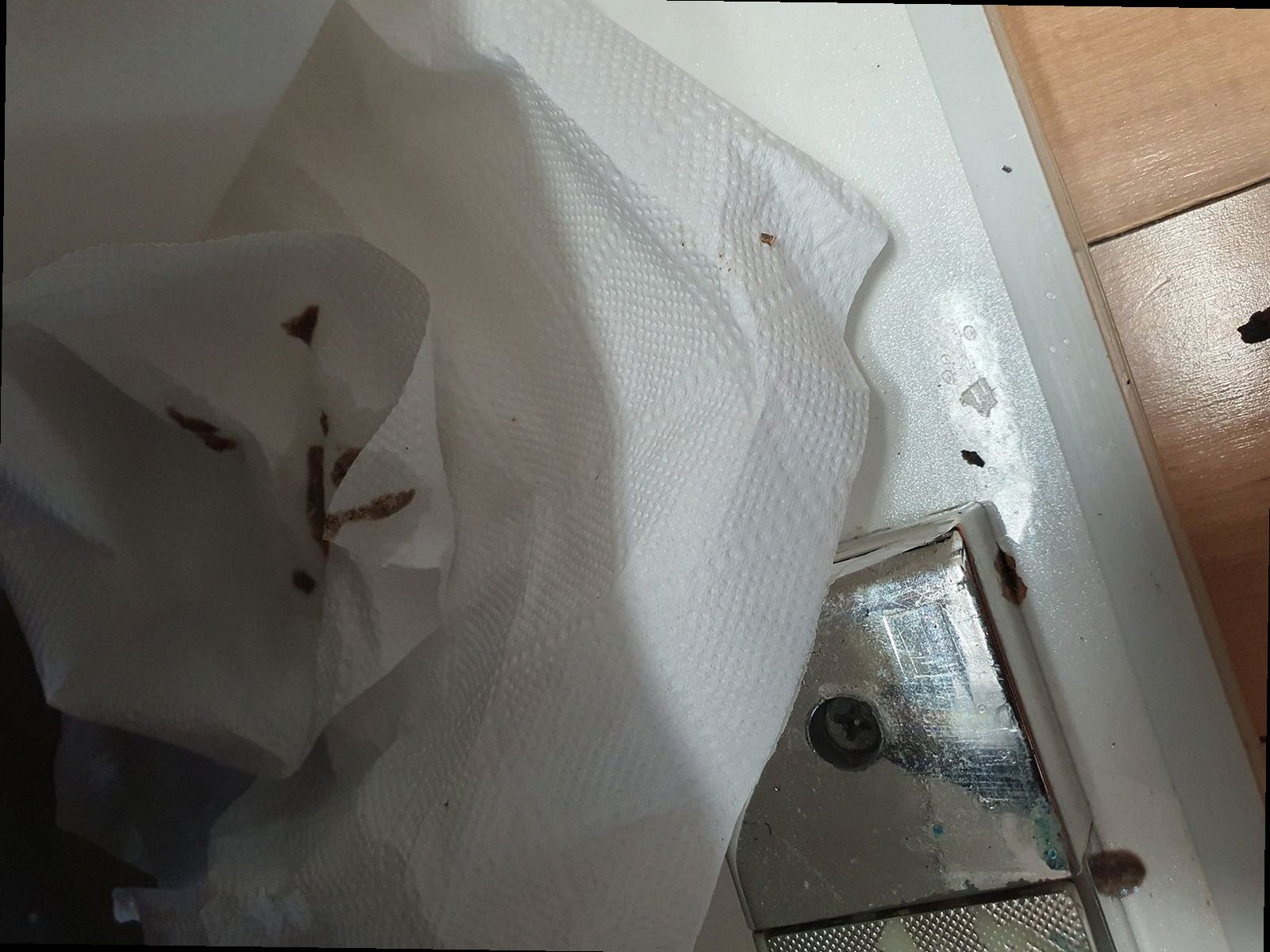 하수구막힘 분당구 정자2동 하수구막힘 싱크대 거름망 막힘 막힘 원인부터 해결까지