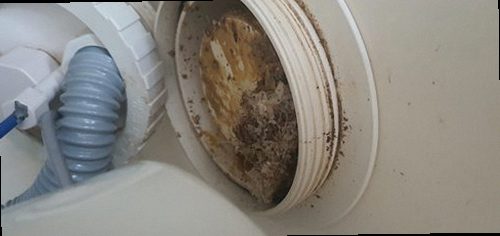 하수구막힘 배수구 수위와 배관 막힘 상태를 확인하는 점검 장면