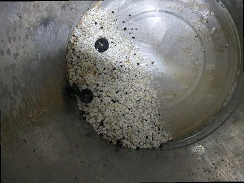 하수구막힘 평안동 하수구막힘 하수관 고압세척 막힘의 원인과 기본