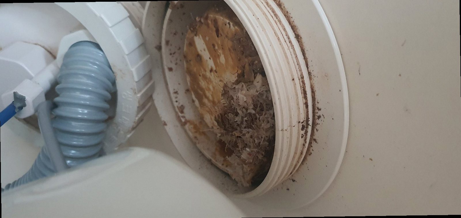 남동구 하수구막힘 배관 내부 상태를 확인하는 점검 장면