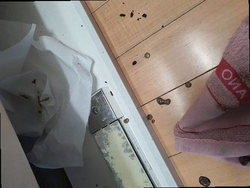 하수구막힘 영흥면 하수구막힘 싱크대 물 천천히 빠짐 천천히 빠지는 물의 뜻