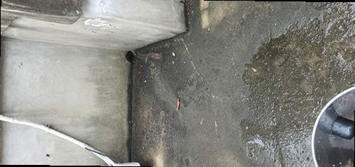 하수구막힘 세곡동 하수구막힘 싱크대막힘 자가 해결 막힘의 원인과 기본