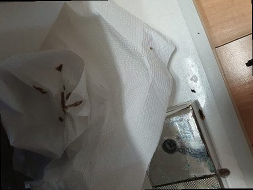 하수구막힘 배관 내부 오염 상태를 확인하는 점검 장면