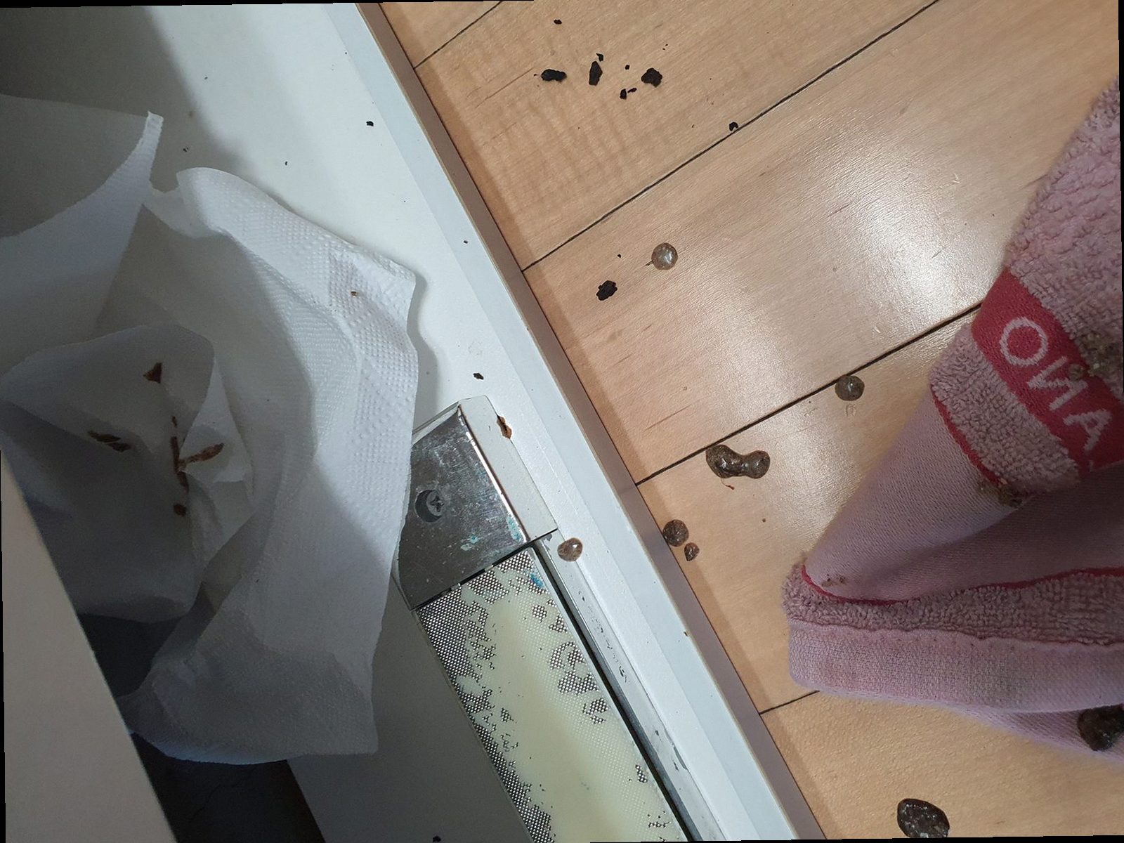 하수구막힘 화양동 하수구막힘 싱크대 물 안빠짐 막힘 원인부터 해결까지