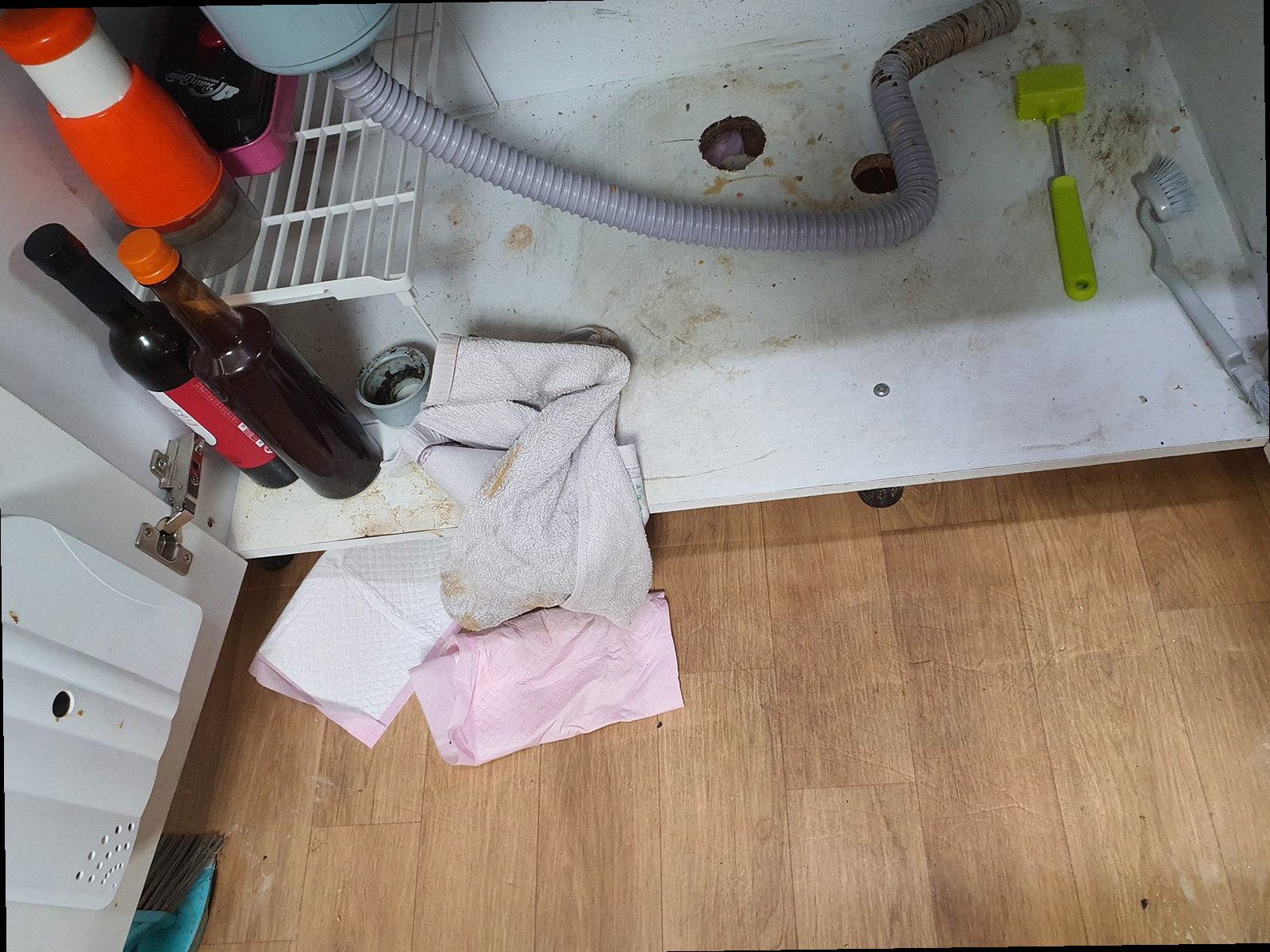 하수구막힘 월계3동 하수구막힘 오수처리 점검 간단 점검과 정밀 진단